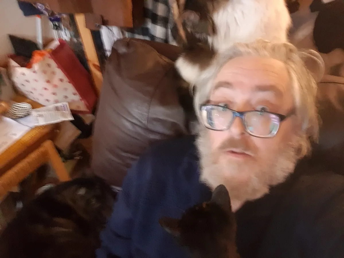A man with glasses and a beard sits on a couch surrounded by cats, one on his head and others nearby, in a cluttered room…