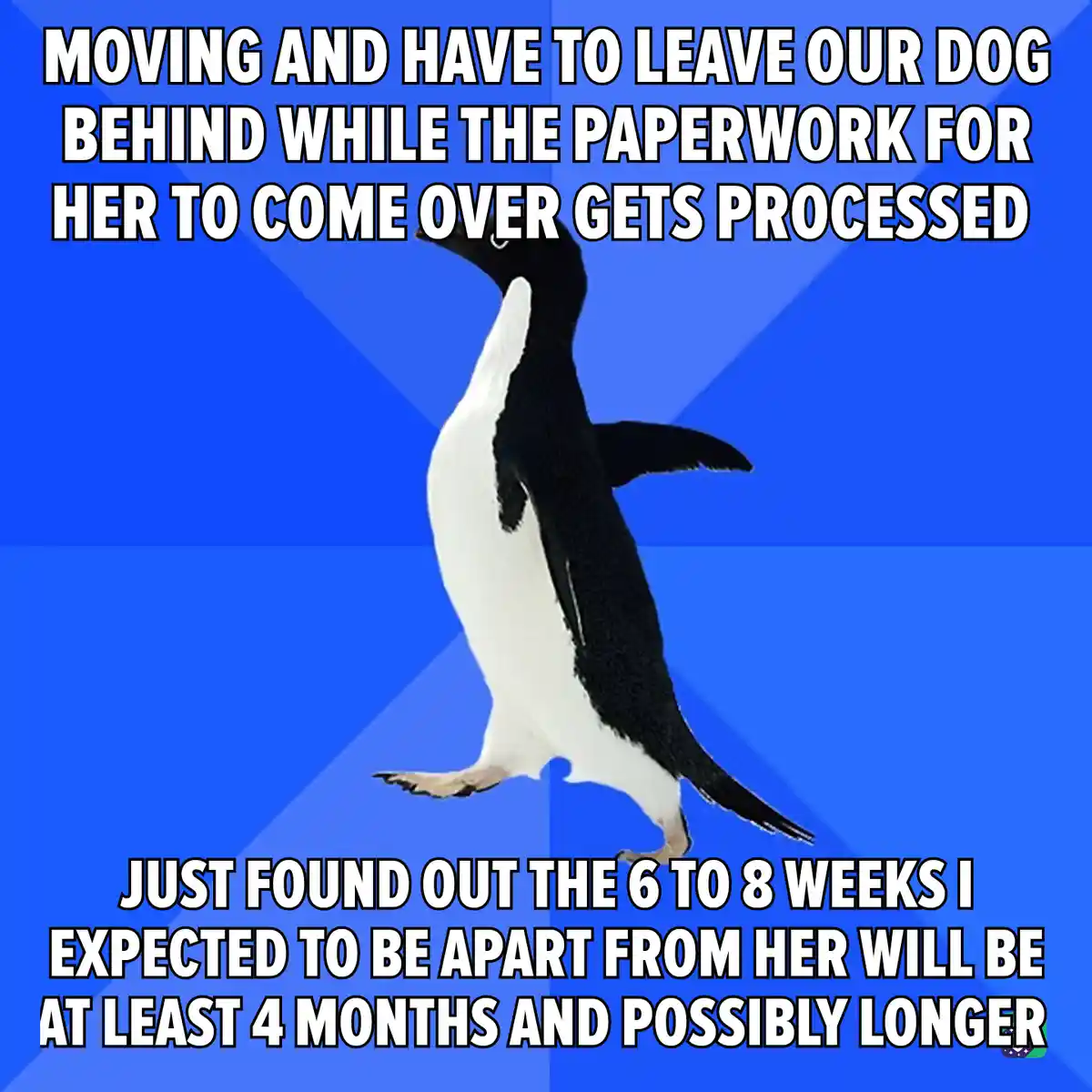 A penguin stands against a blue background with white text overlaid in two sections. The top text reads 'MOVING AND HAVE TO…