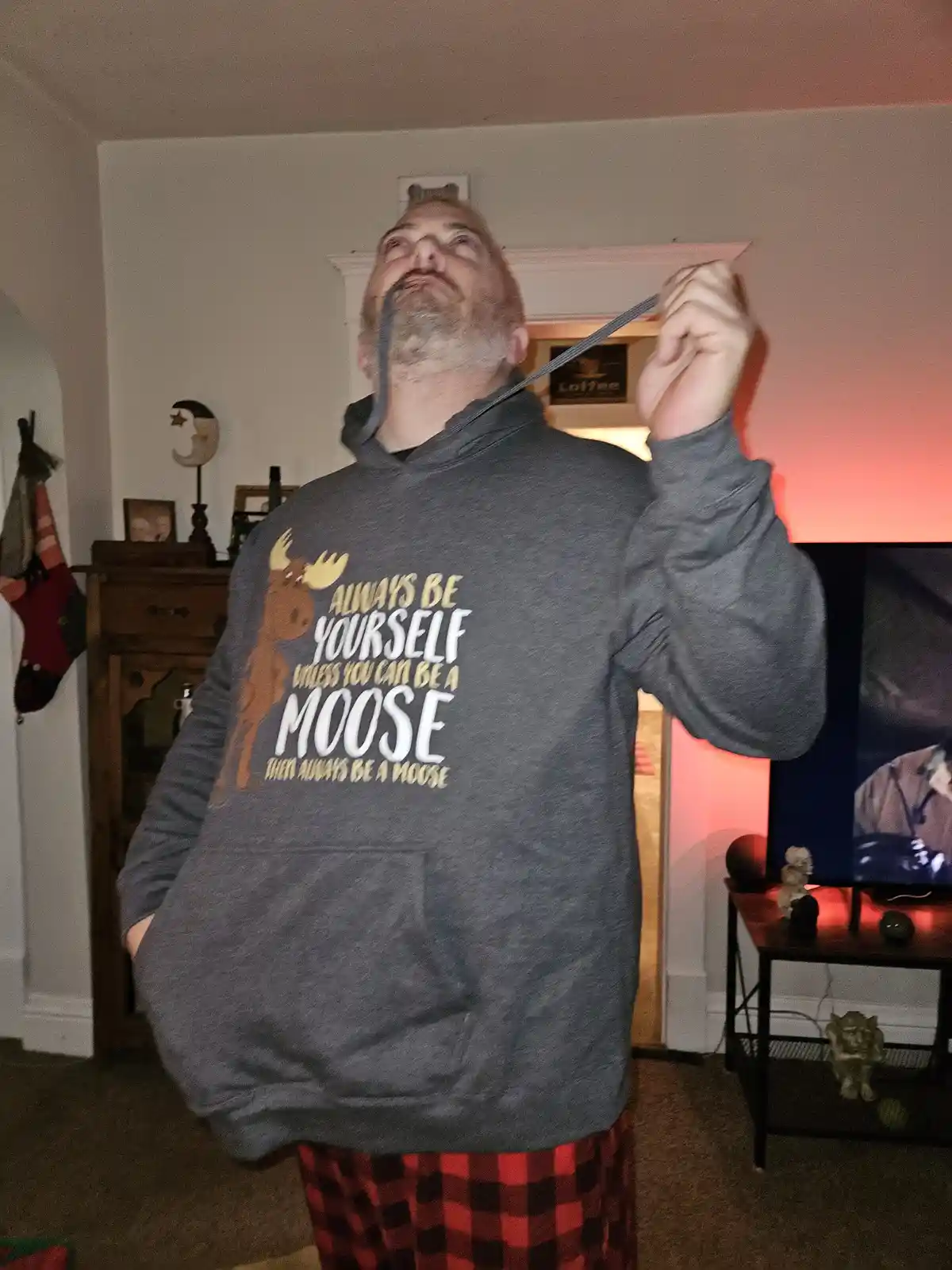 A man in a grey hoodie with a moose graphic and the text 'always be yourself unless you can be a moose then always be a…