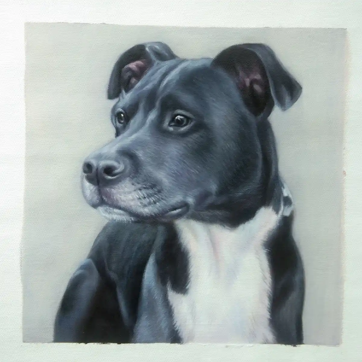 A realistic painting of a black and white dog with floppy ears and a serious expression, looking off to the side. The…