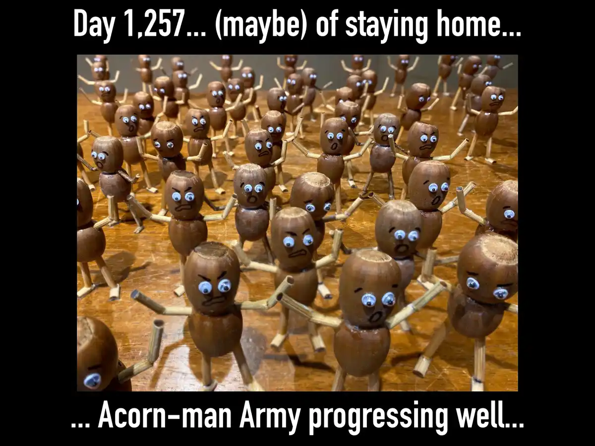 The image shows a large group of handmade figures made from acorns, with googly eyes and twig limbs, standing on a wooden…