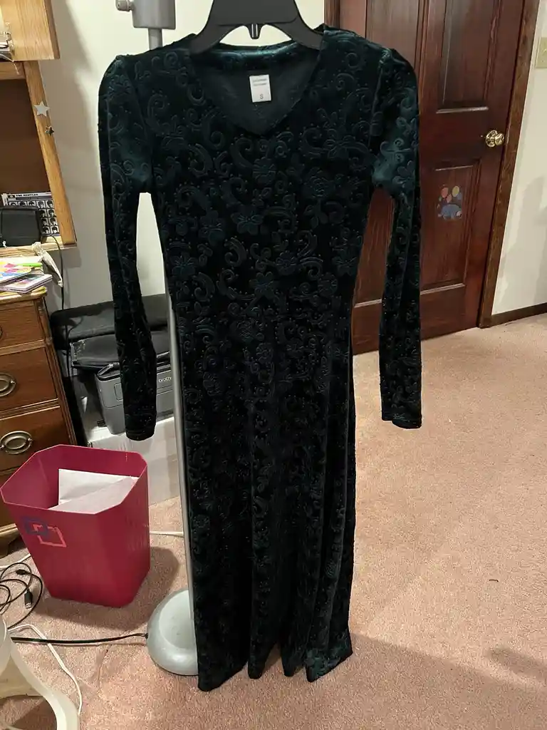 A dark green, long-sleeved velvet dress with an intricate floral and scroll pattern hangs on a silver garment stand in a…