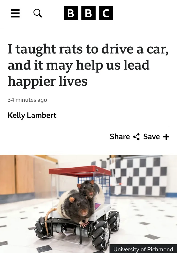 A screenshot of a BBC news article with the headline 'I taught rats to drive a car, and it may help us lead happier lives'…