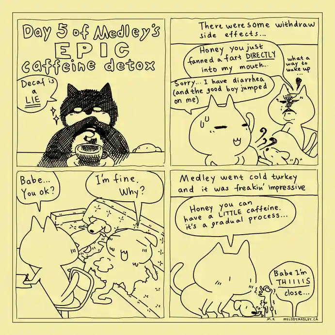 A four-panel comic strip featuring cartoon cats and a dog. The first panel shows a cat in a Batman mask drinking decaf…
