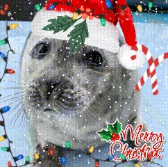 Wishing you all the best on your journey ahead! :3