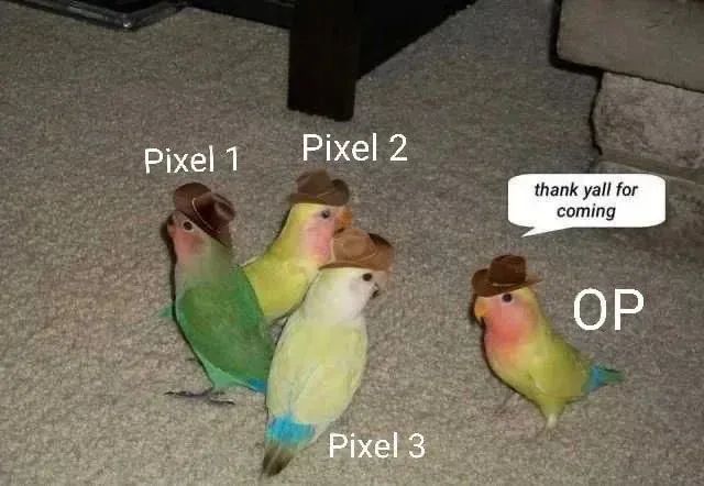 Four small parrots wearing tiny brown hats stand on carpeted floor; three are labeled 'Pixel 1', 'Pixel 2', and 'Pixel 3'…