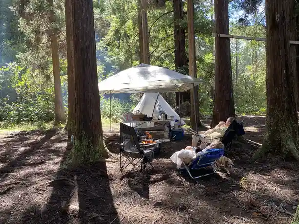 Camping Adventures at Sugi Grove in Kaua'i