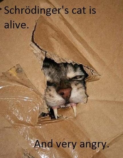 The Paradox of Schrödinger's Cat Explained