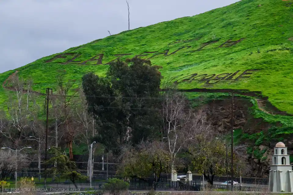 A green hillside has the words 'FLAT EARTH' and 'GOOGLE' carved into it with exposed soil, creating a visual pun. The hill…