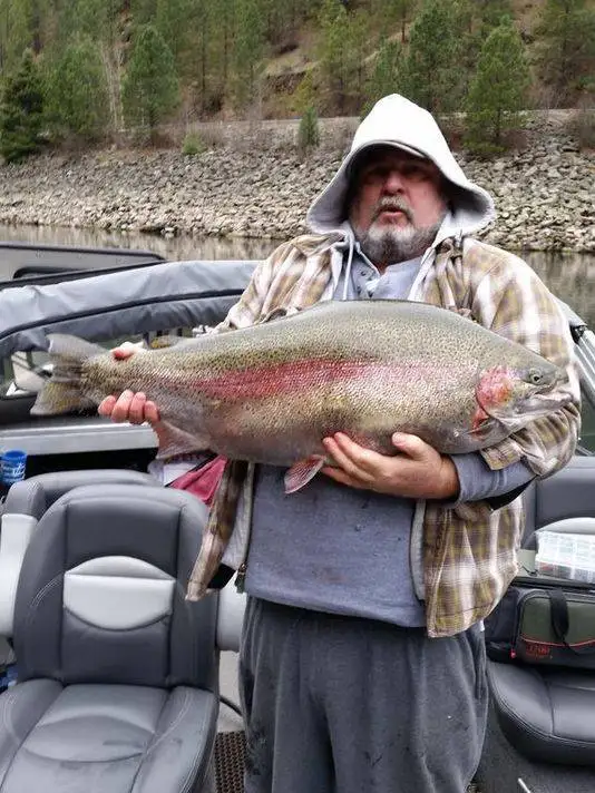 A man in a plaid shirt and hooded sweatshirt stands on a boat holding a very large rainbow trout, its pink lateral stripe…