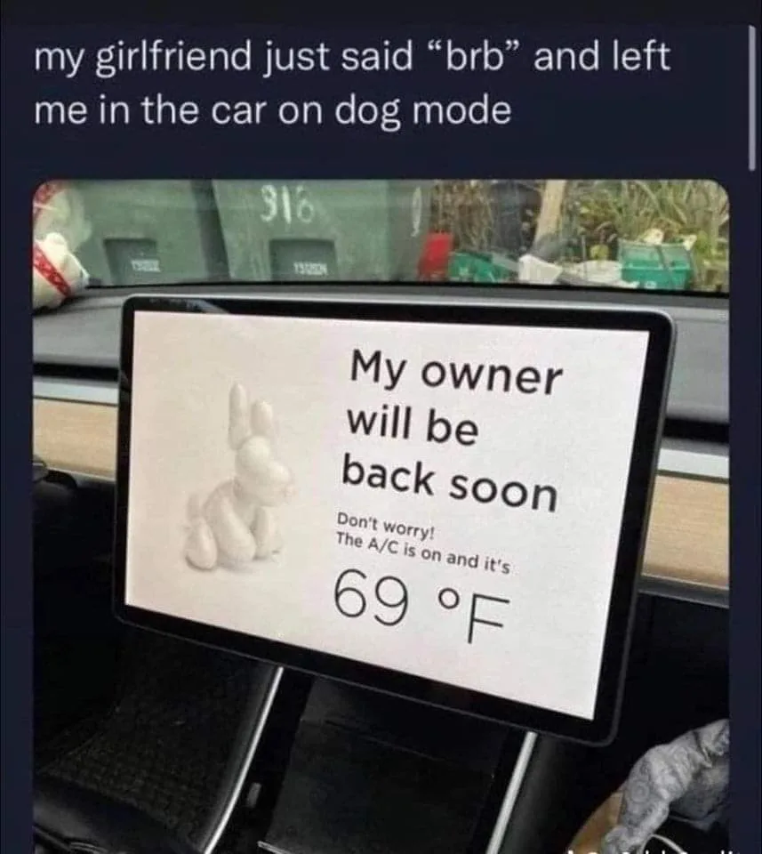 A car's infotainment screen displays a message saying 'My owner will be back soon. Don't worry! The A/C is on and it's 69…