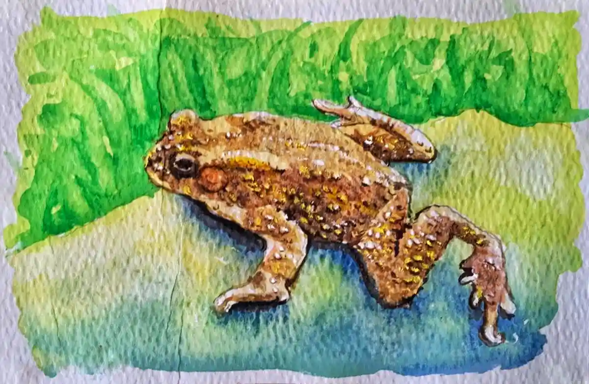 A watercolor painting depicts a brown toad with yellow speckles resting on a blue-green surface, with green foliage in the…