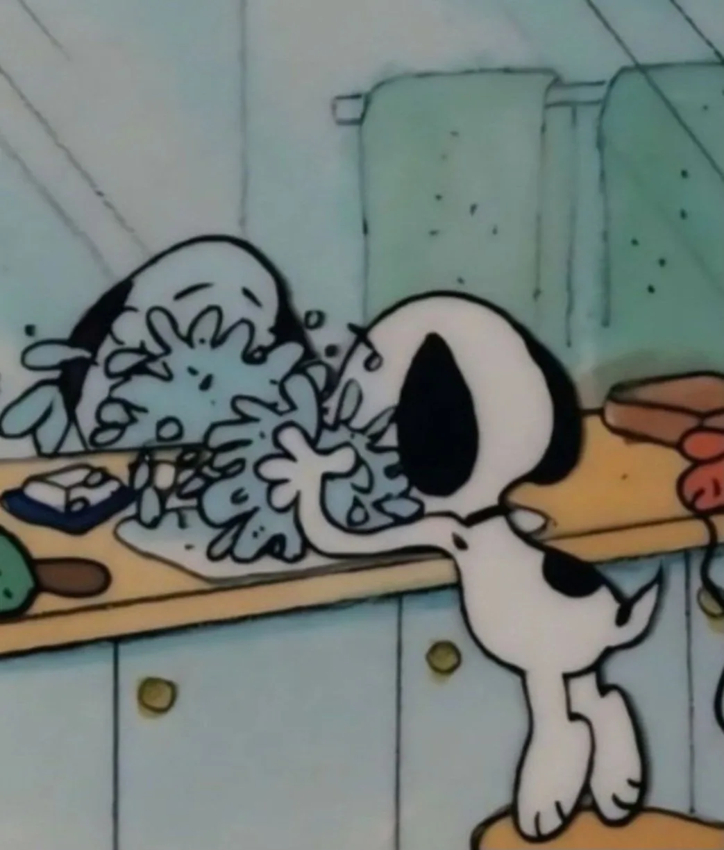 A sprinkle of Snoopy to brighten your day!