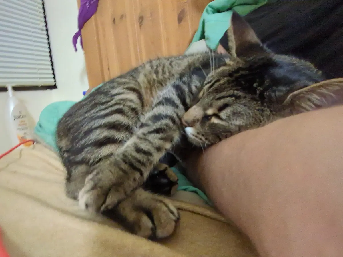 That Moment When Your Arm Starts to Go Numb...