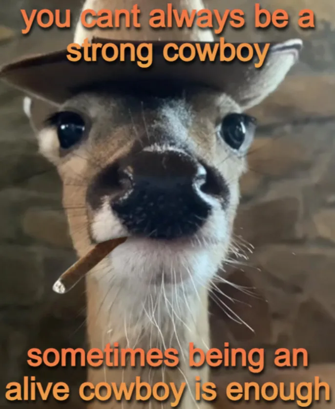 A close-up photo of a deer wearing a cowboy hat and holding a cigarette in its mouth, with orange text overlaid that reads…