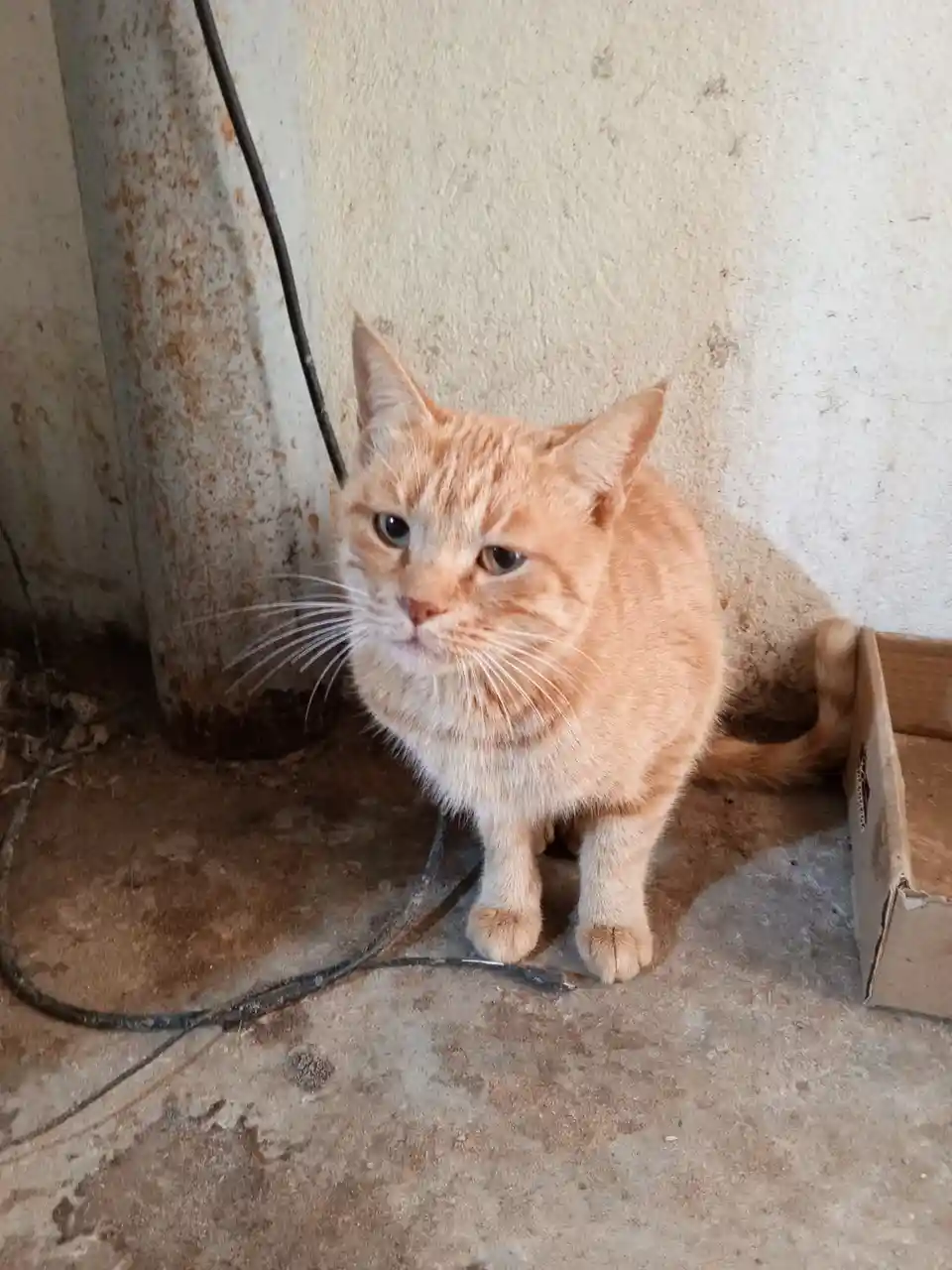 Absolutely adorable!