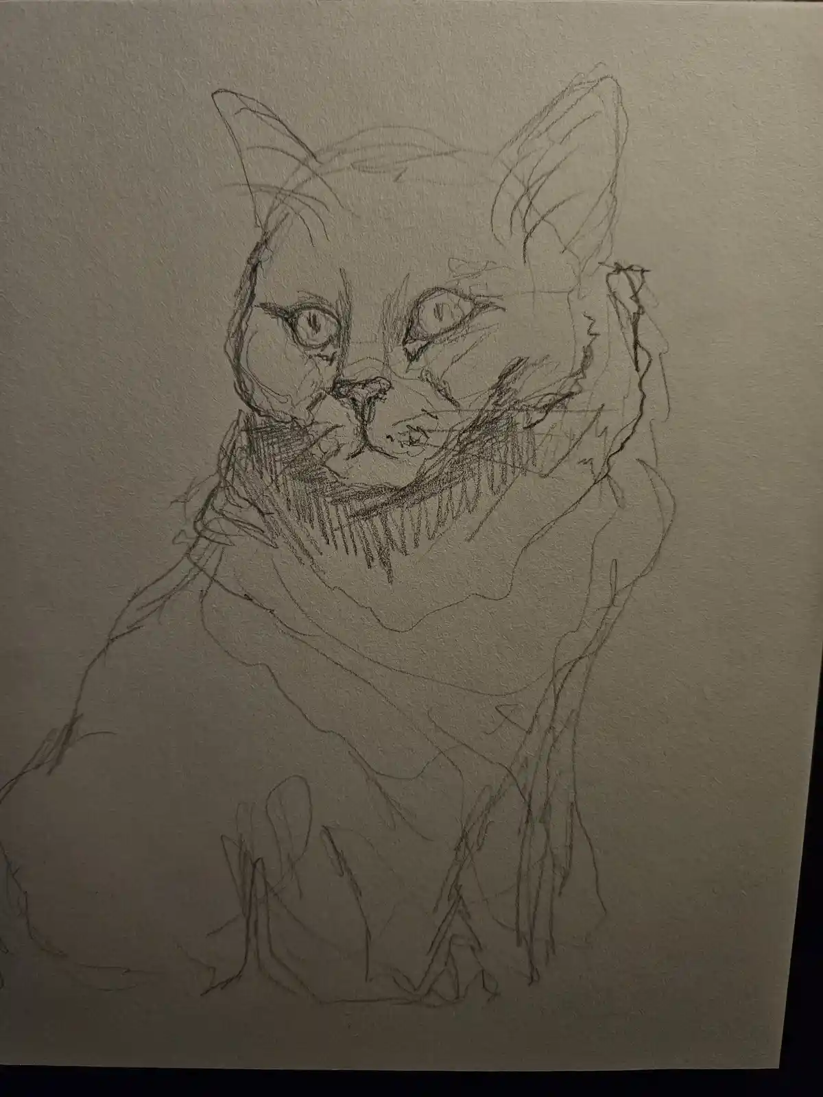 A rough pencil sketch on textured paper depicts a cat with large, intense eyes and a menacing expression, its fur drawn with…