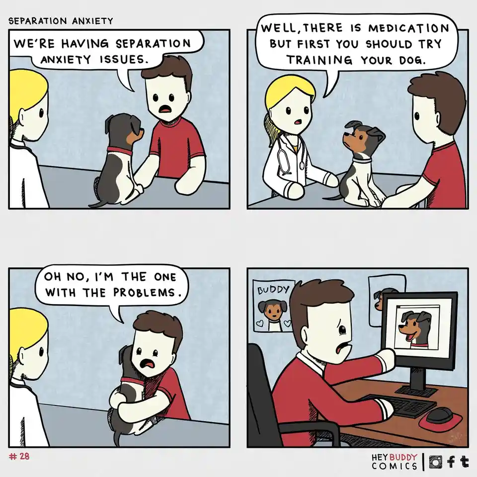 A four-panel comic shows a man bringing his anxious dog to a vet. The vet suggests medication but first recommends training…