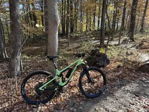 A lime-green Norco mountain bike is leaned against a tree in a forest with autumn leaves on the ground and trees with yellow…
