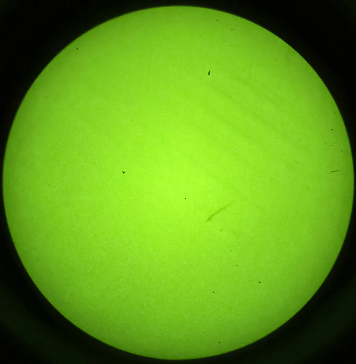 A circular view of a uniformly bright green screen, likely from a camera or monitor, with small dark specks and smudges…