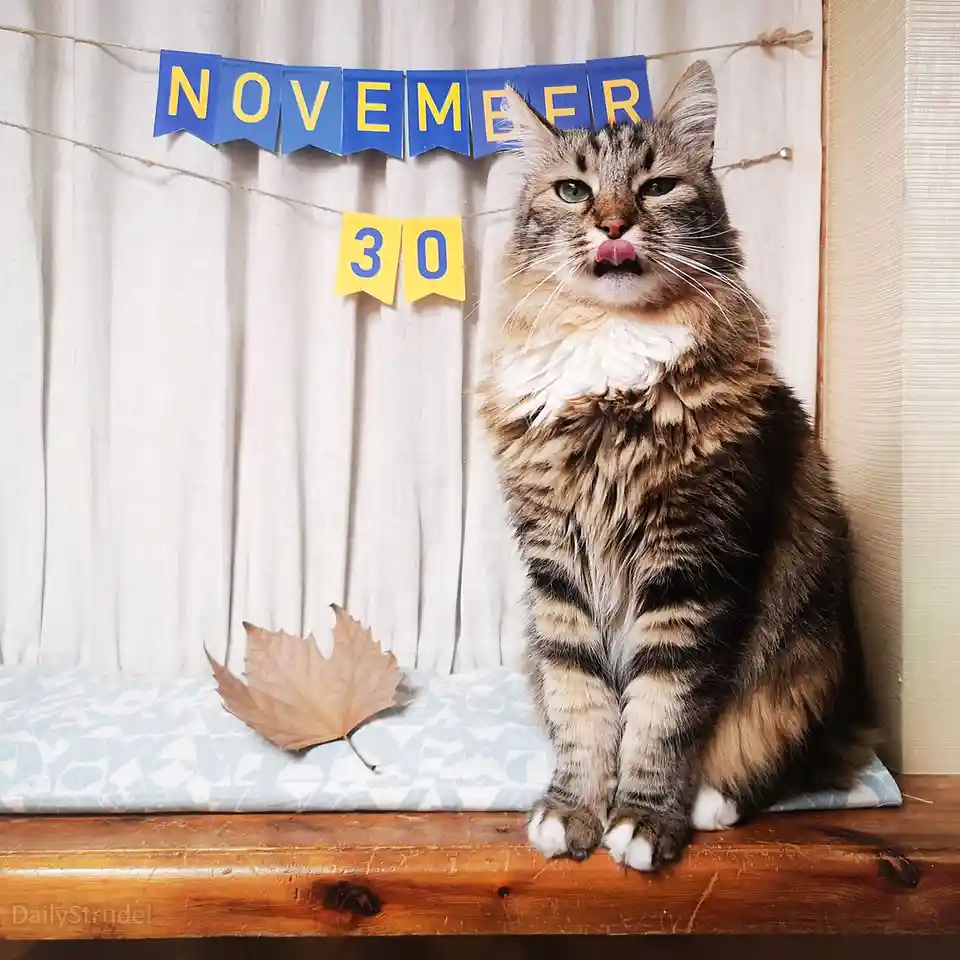 Mark Your Calendars: November 30