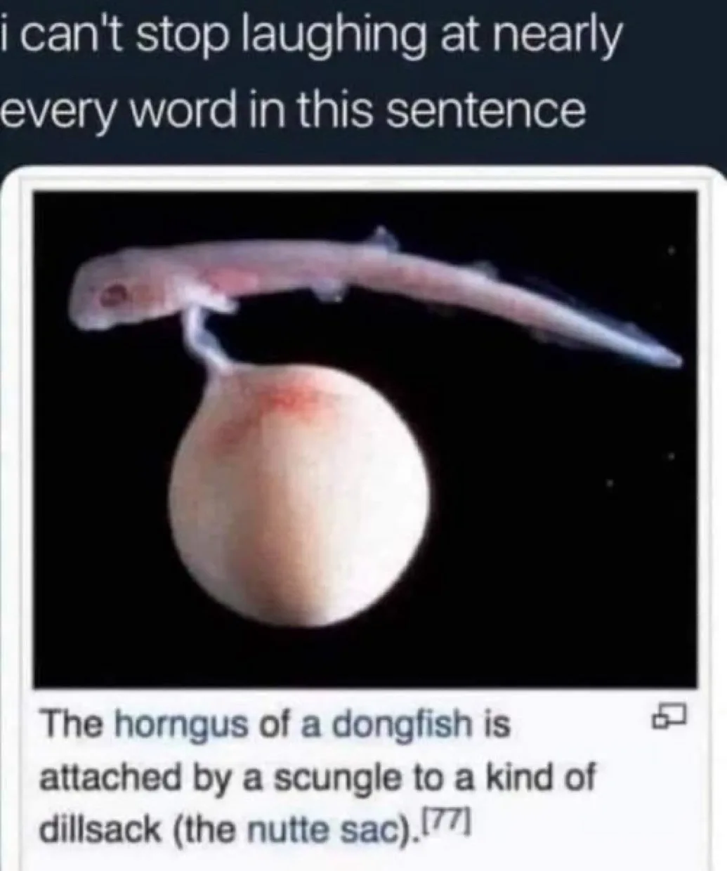 Give this a try and read it out loud!