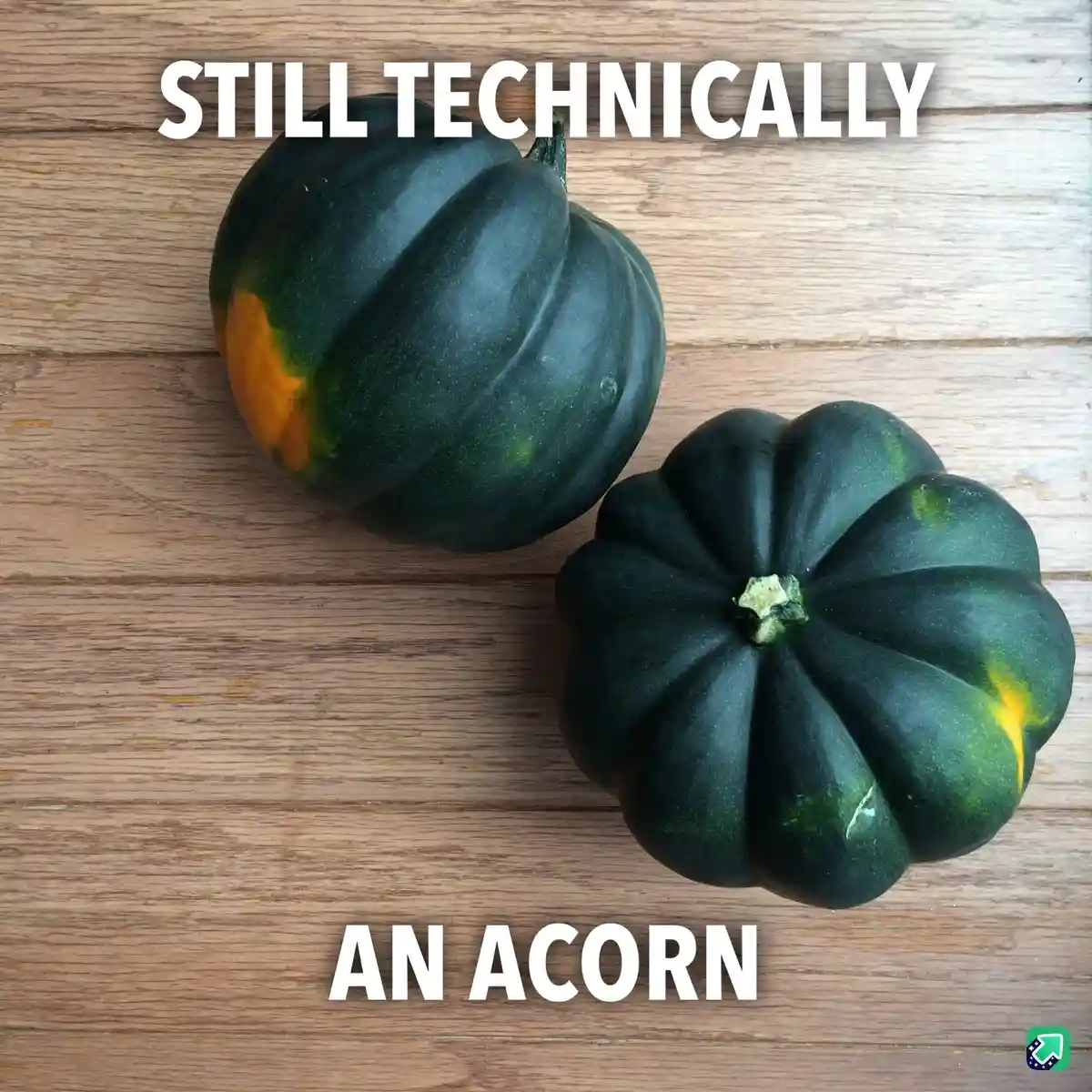 Two dark green acorn squash with orange and yellow patches sit on a wooden surface. The text overlaid in white capital…