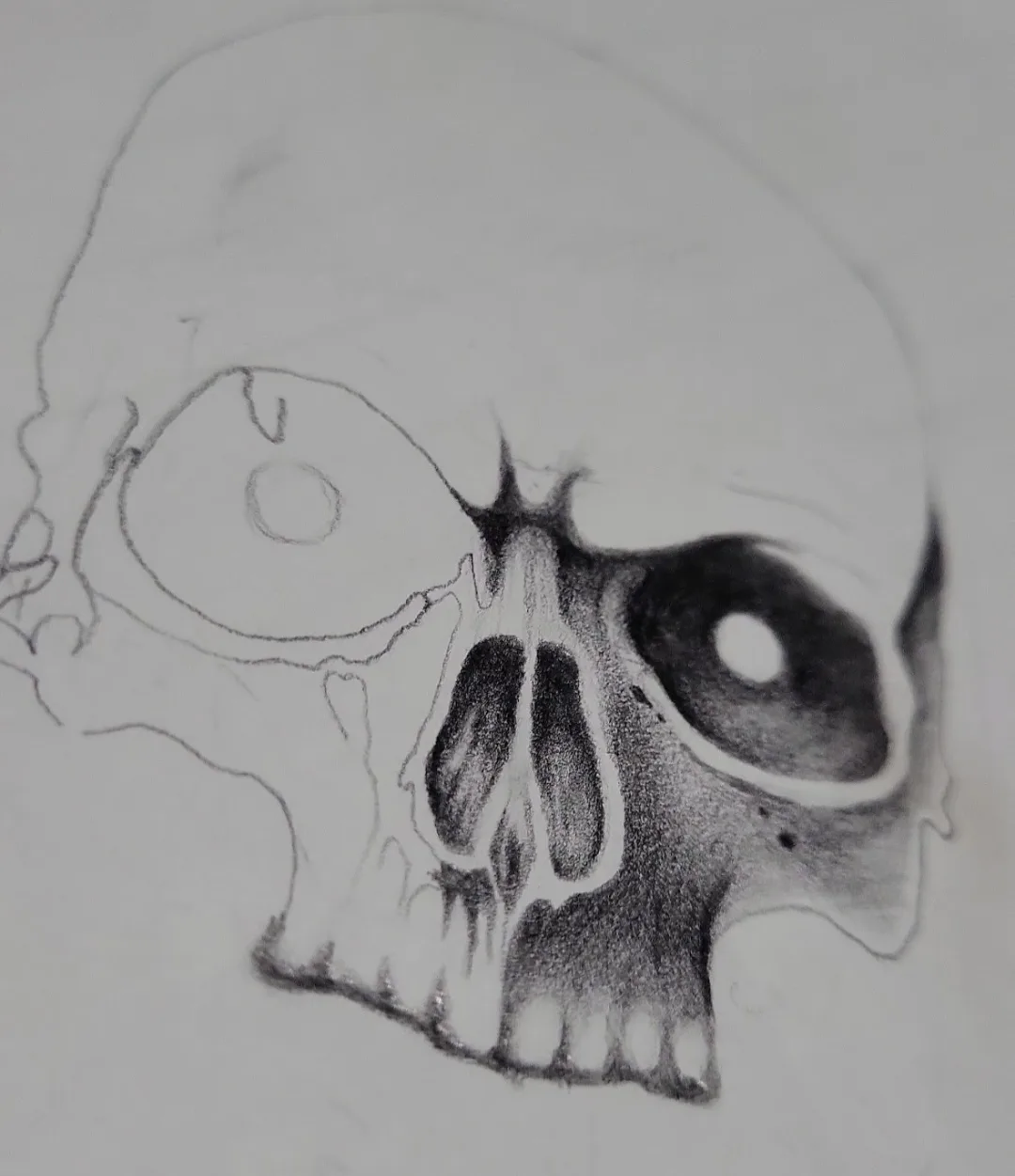 A pencil sketch of a human skull in profile, where one eye socket is fully shaded and detailed while the other is only a…
