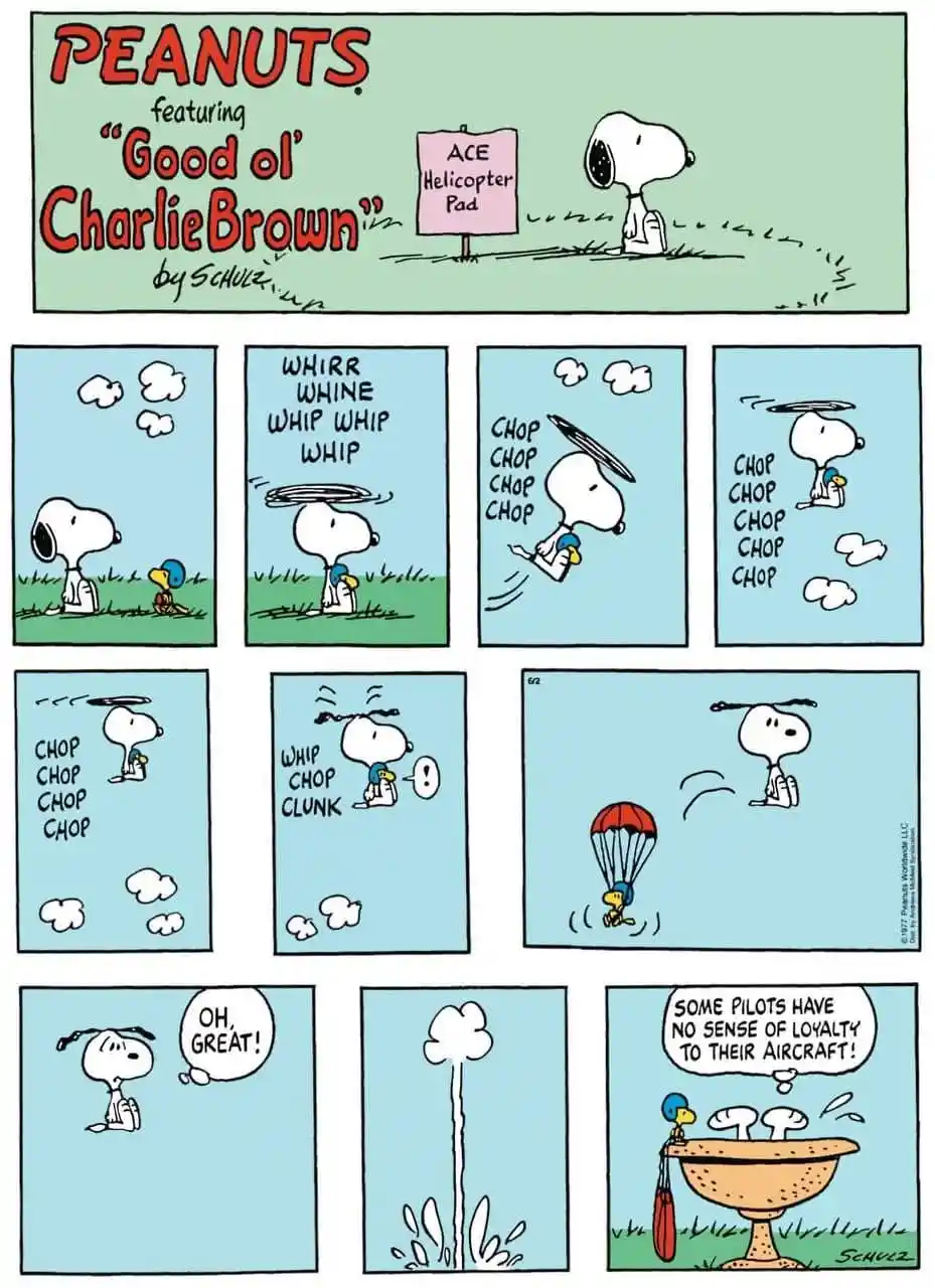 Your Daily Dose of Peanut Wisdom