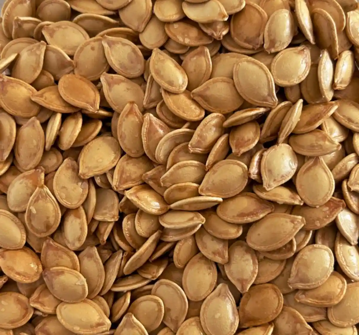 Why Eating Seeds is the Ultimate Relaxation Activity