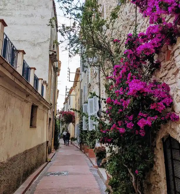 A narrow, picturesque European alleyway with stone buildings, vibrant pink bougainvillea flowers cascading down a wall, and…
