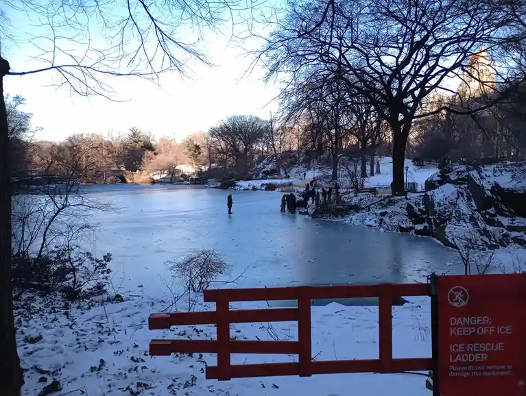 A winter scene at a frozen lake, likely Central Park, with snow-covered ground and bare trees. A red barrier fence blocks…