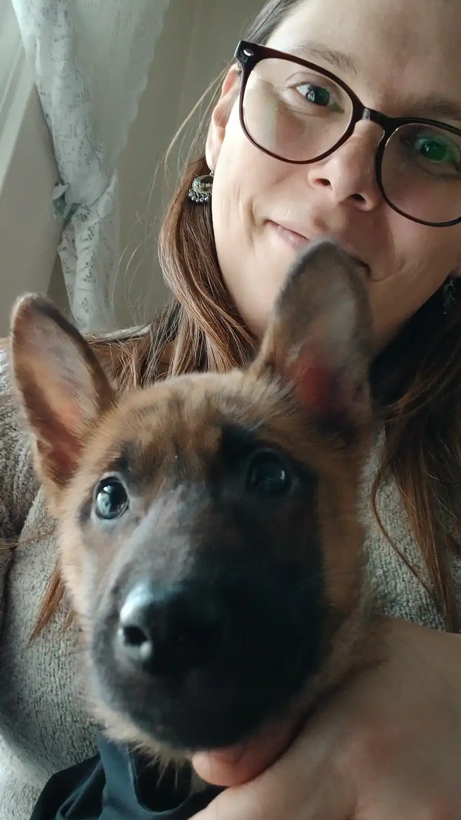 A person with glasses and a slight smile holds a young German Shepherd puppy close to the camera, which is looking directly…