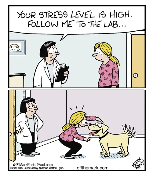 A two-panel comic shows a doctor telling a stressed woman to follow her to the lab. In the second panel, the woman kneels to…