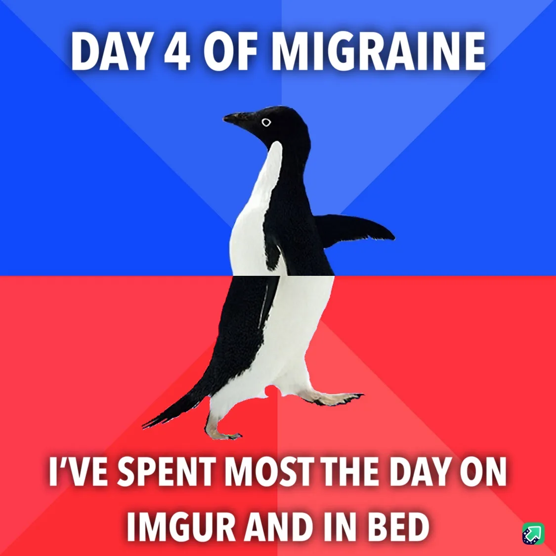 A penguin stands centered against a blue and red background, with white text at the top reading 'DAY 4 OF MIGRAINE' and…