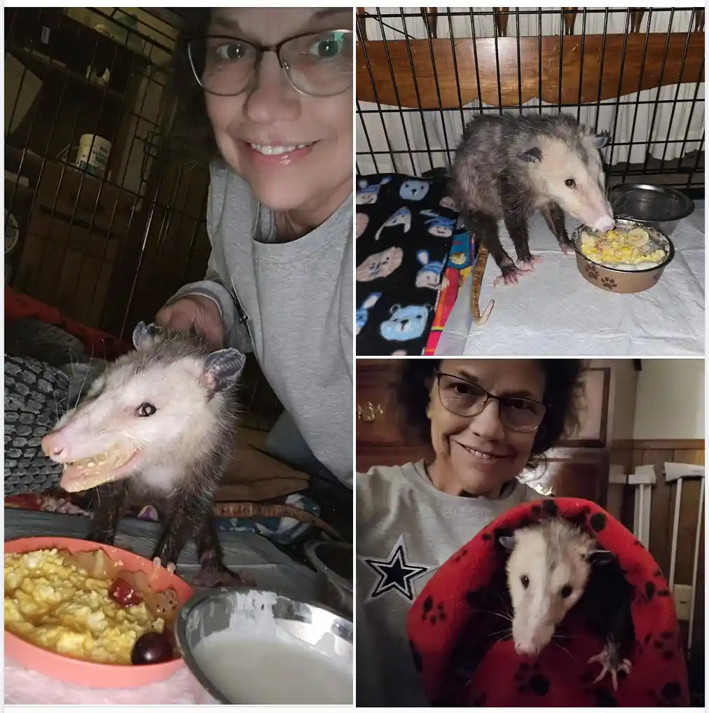People who totally resemble their pets
