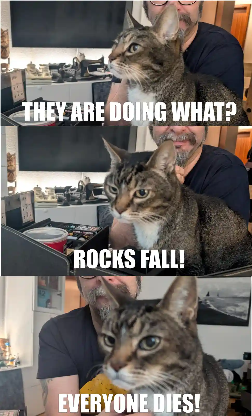 Merlin the Cat Takes on the Role of Game Master