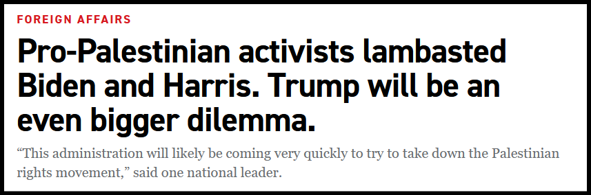A screenshot of a Foreign Affairs article headline stating that pro-Palestinian activists criticized Biden and Harris…