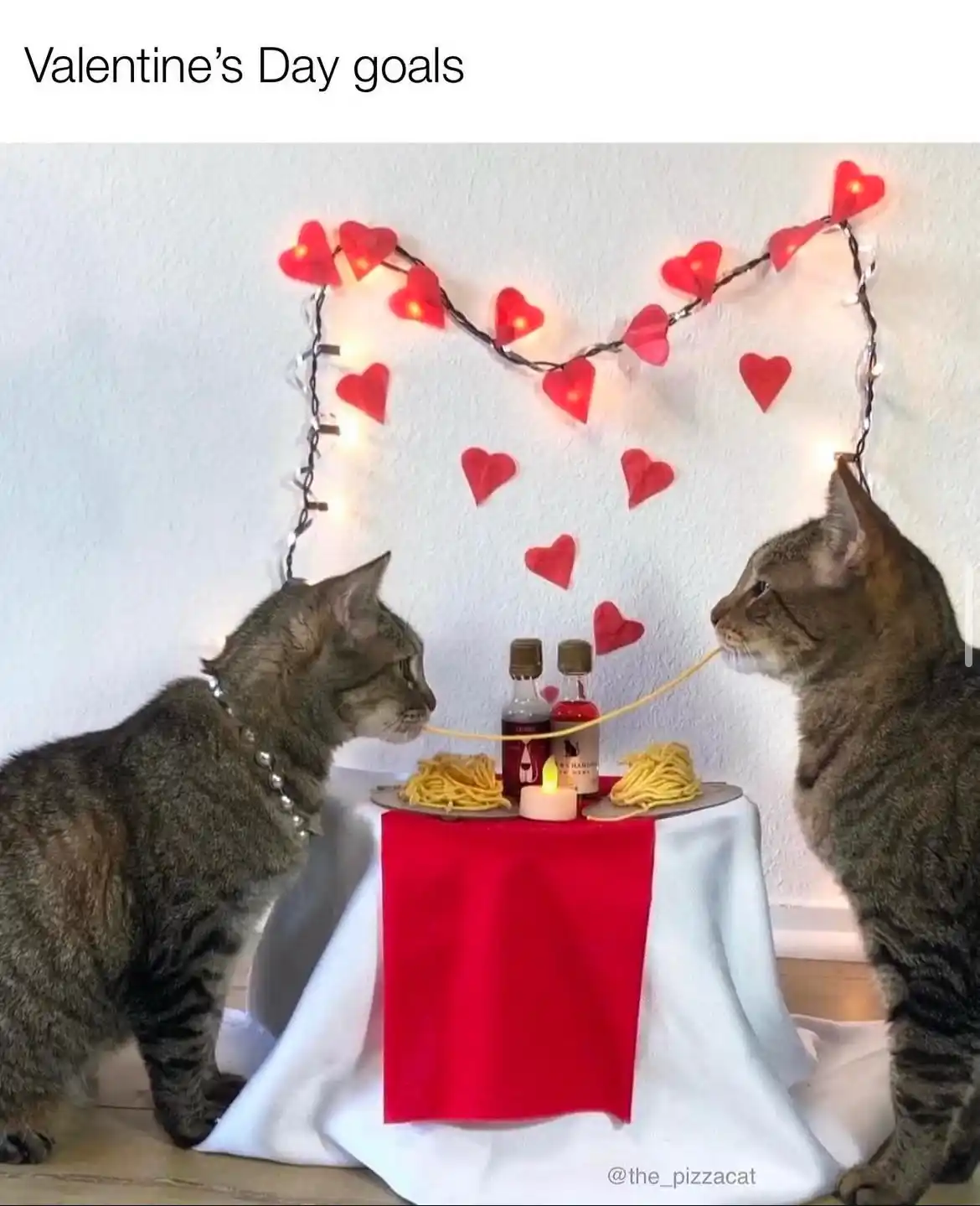 Two tabby cats sit opposite each other at a small table draped with a red and white cloth, sharing a single strand of…