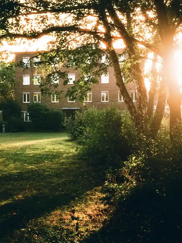 A serene photo of a brick building viewed through trees with golden sunlight filtering through the leaves, creating a…