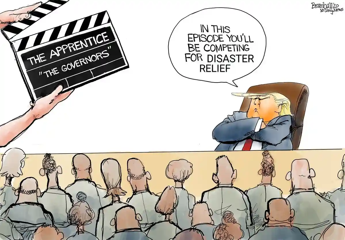 A cartoon depicts a person holding a clapperboard labeled 'THE APPRENTICE' and '