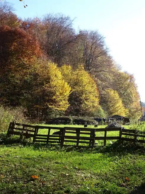 Exploring the Beauty of Boåse Oko Nature Reserve