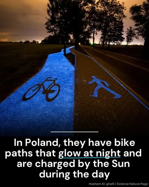 A nighttime photo shows a glowing blue bike path with a bicycle symbol and a pedestrian path next to it, both illuminated…