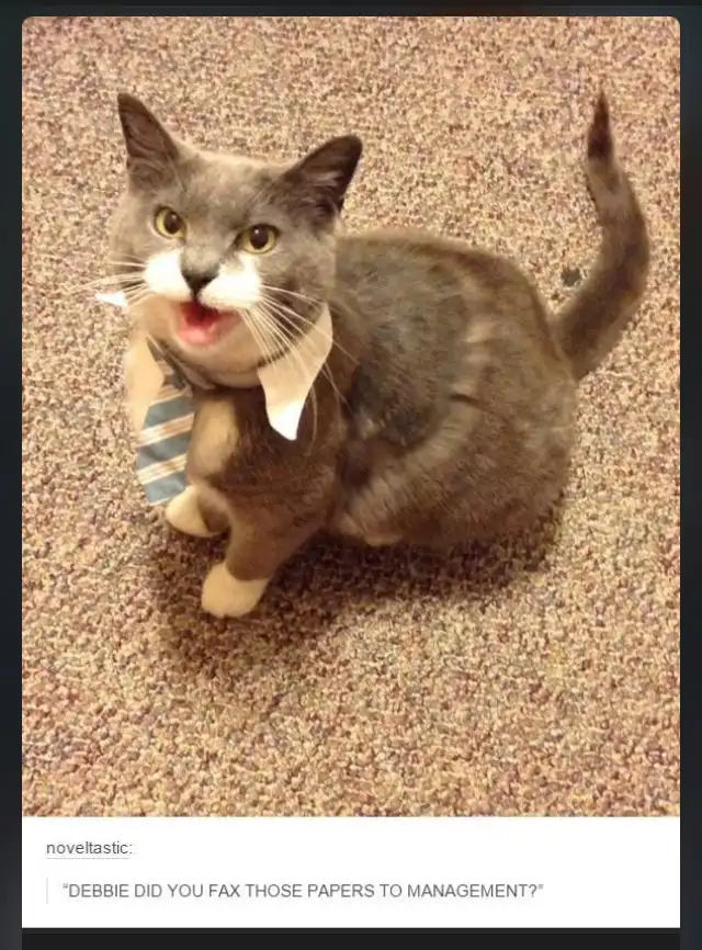 A gray cat with a white muzzle and paws sits on a speckled carpet, wearing a blue and white striped tie, its mouth open in…