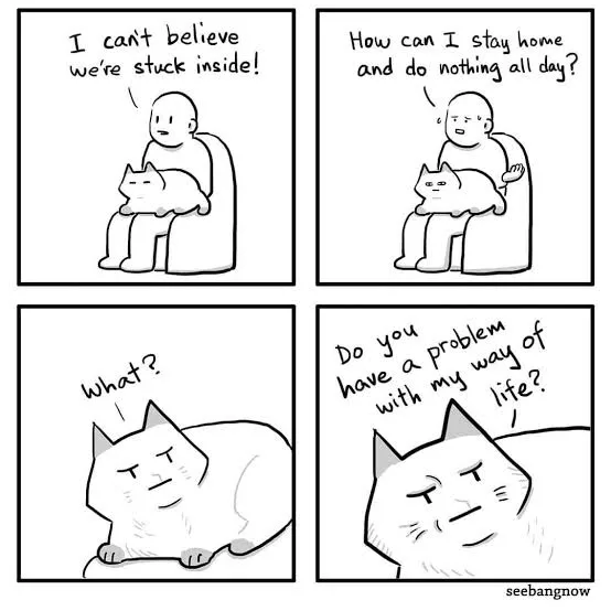 A four-panel comic strip shows a bald man holding a cat, expressing frustration about being stuck inside and wanting to do…