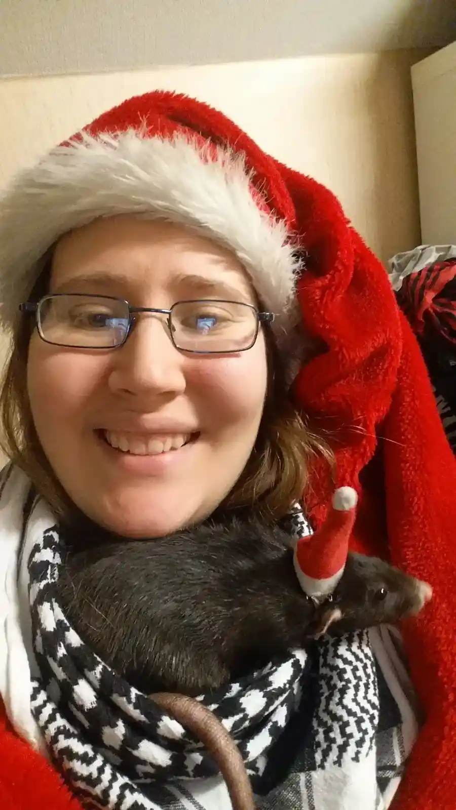God Jul and Happy New Year!
