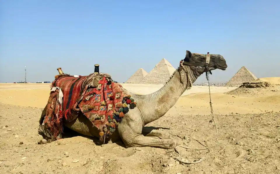 Embarking on a Solo Adventure Through North Africa in 2024