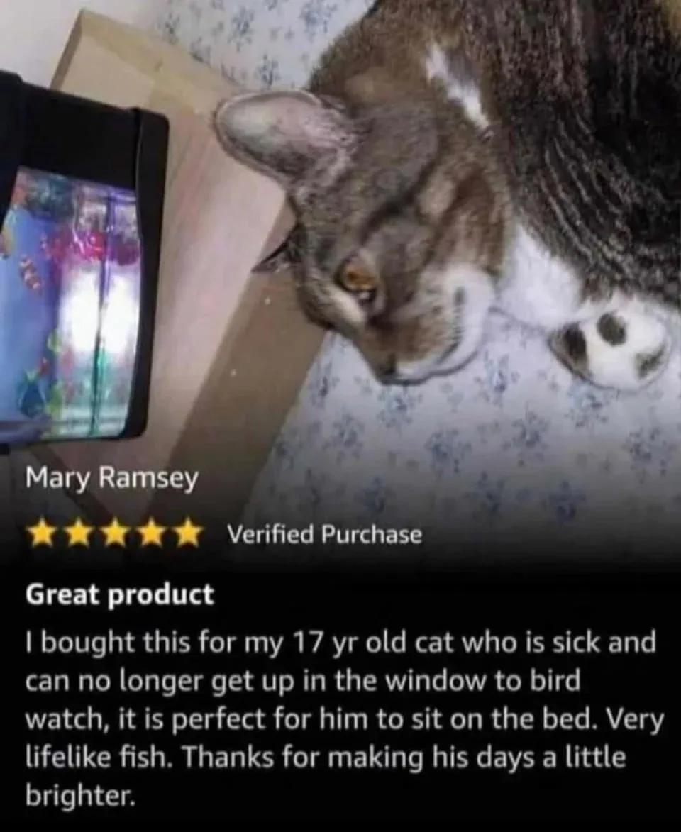 A tabby cat with white paws lies on a patterned bed, looking at a tablet displaying a fish tank. The image is overlaid with…