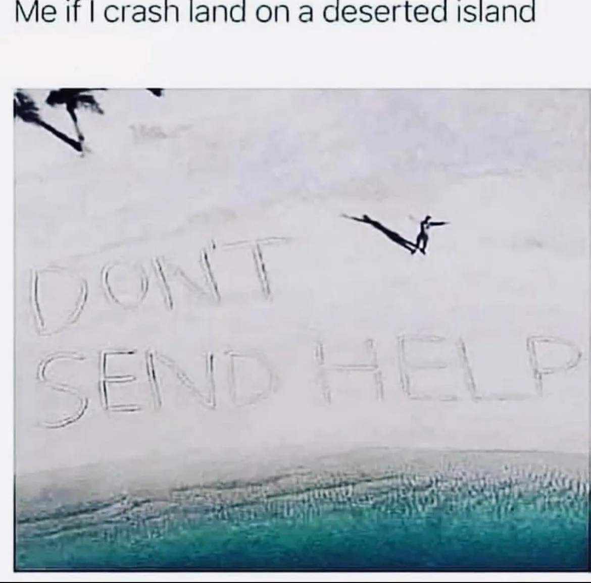 A person is shown on a sandy beach with large letters carved into the sand that read 'DON'T SEND HELP'. The person is…