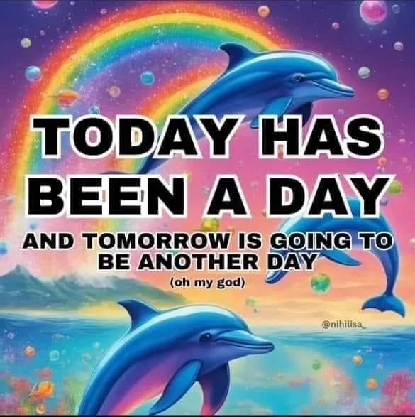 The image shows three blue dolphins swimming in a colorful, dreamlike ocean scene under a rainbow. The overlaid text reads…
